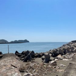 チョイ投げでキス釣り