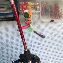 悪潮マダコ釣り