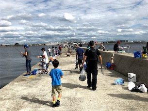 初青物（ツバス）