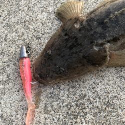 ふらっとフラットフィッシング