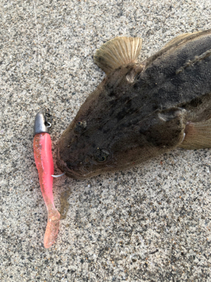 ふらっとフラットフィッシング