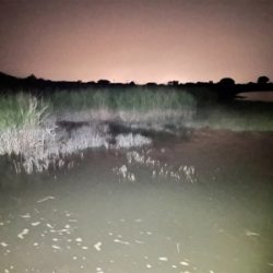 小さいのが遊んでくれた