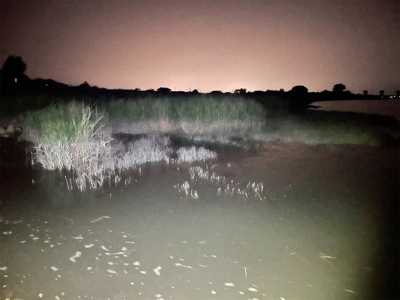 小さいのが遊んでくれた