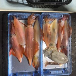 今年は渋めか……?!