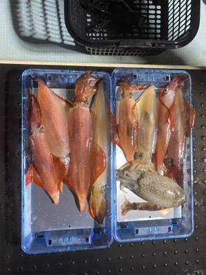 今年は渋めか……?!