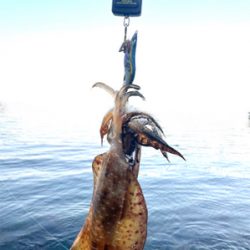 今シーズン初！