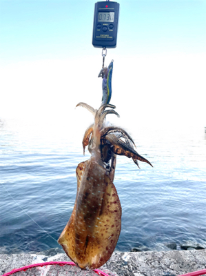 今シーズン初！