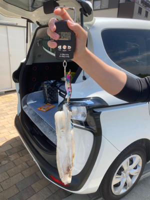 大阪南端でエギング