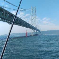 メジロを求めて