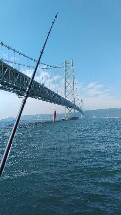 メジロを求めて