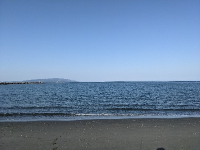 リハビリのつもりが