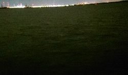 今年初のまともなアジ