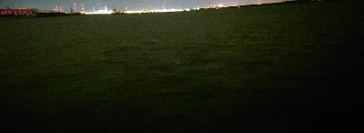 今年初のまともなアジ