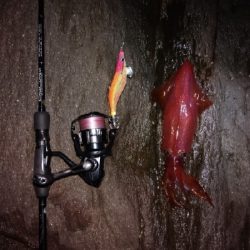 エギング&ジギング