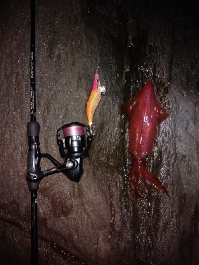 エギング&ジギング