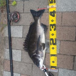 久しぶりの40UP　～さざなみ公園～