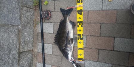 久しぶりの40UP　～さざなみ公園～