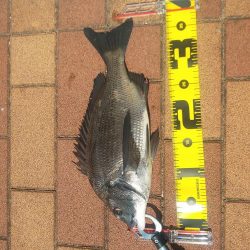 グラスロッドで　～辰巳橋～