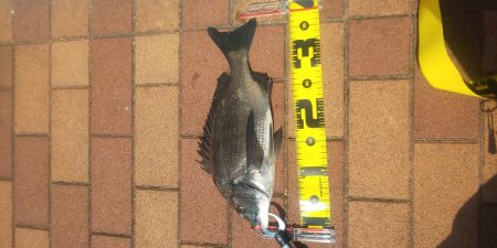 グラスロッドで　～辰巳橋～