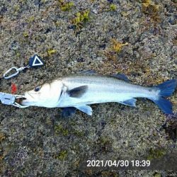 多忙からの、お祭り！