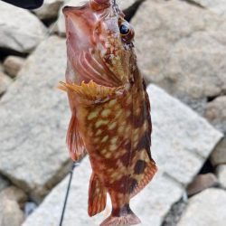 自転車遠征釣行