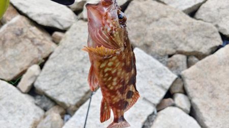 自転車遠征釣行