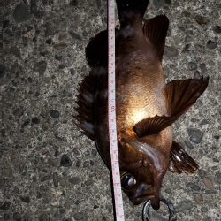 ピンクがお好き？