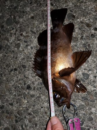 ピンクがお好き？