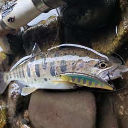 今日も大荒れ( ノД`)…