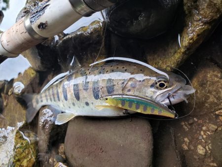 今日も大荒れ( ノД`)…