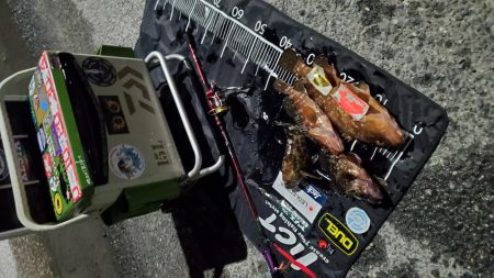 カンパリデビュー