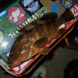 大阪湾奥最前戦