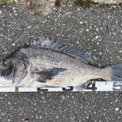 イチノ兄弟、釣果！