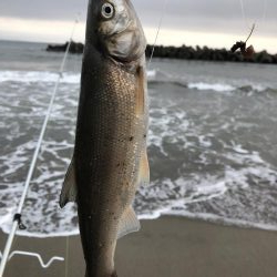 キスを求めて…