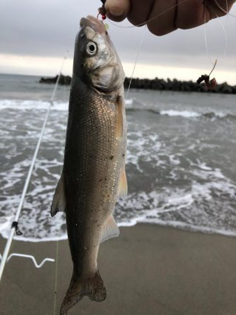 キスを求めて…