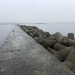 誰もいない波止場で根性決めた