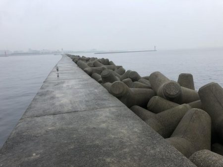 誰もいない波止場で根性決めた