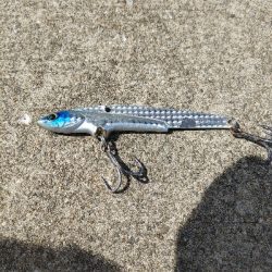 青物狙いに、昼から行ってきました。