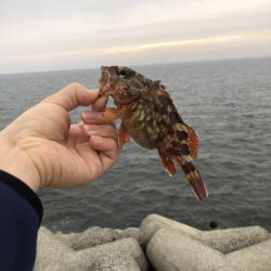 ジグサビキでメバル