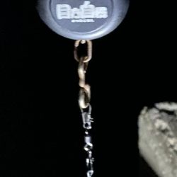 1年ぶりの¥キロアップ