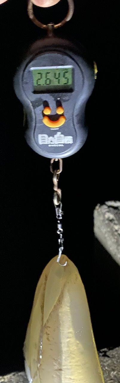 1年ぶりの¥キロアップ