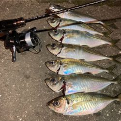 密を避けてアジング