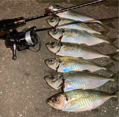 密を避けてアジング