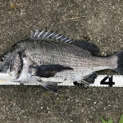 イチノ兄弟、釣果！