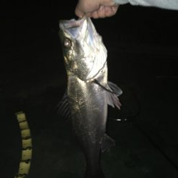 @久しぶりの60up!