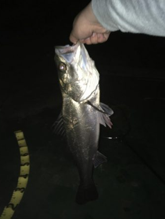 @久しぶりの60up!