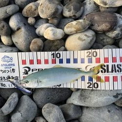 初青物‼︎小物ラッシュ！