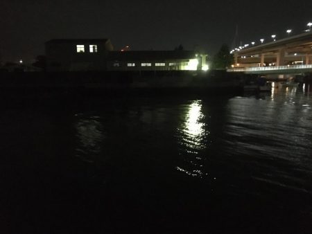 @バチ抜けシーバス