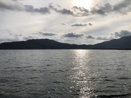 サゴシ行方不明