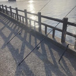 投稿２回目、本日はのんびりの筈が？